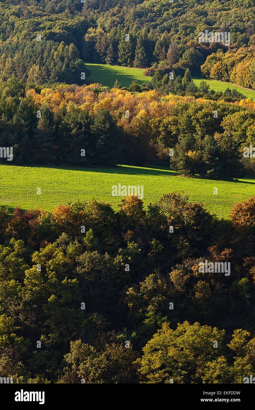 trees on the background of the hillside Stock Photo - Alamy