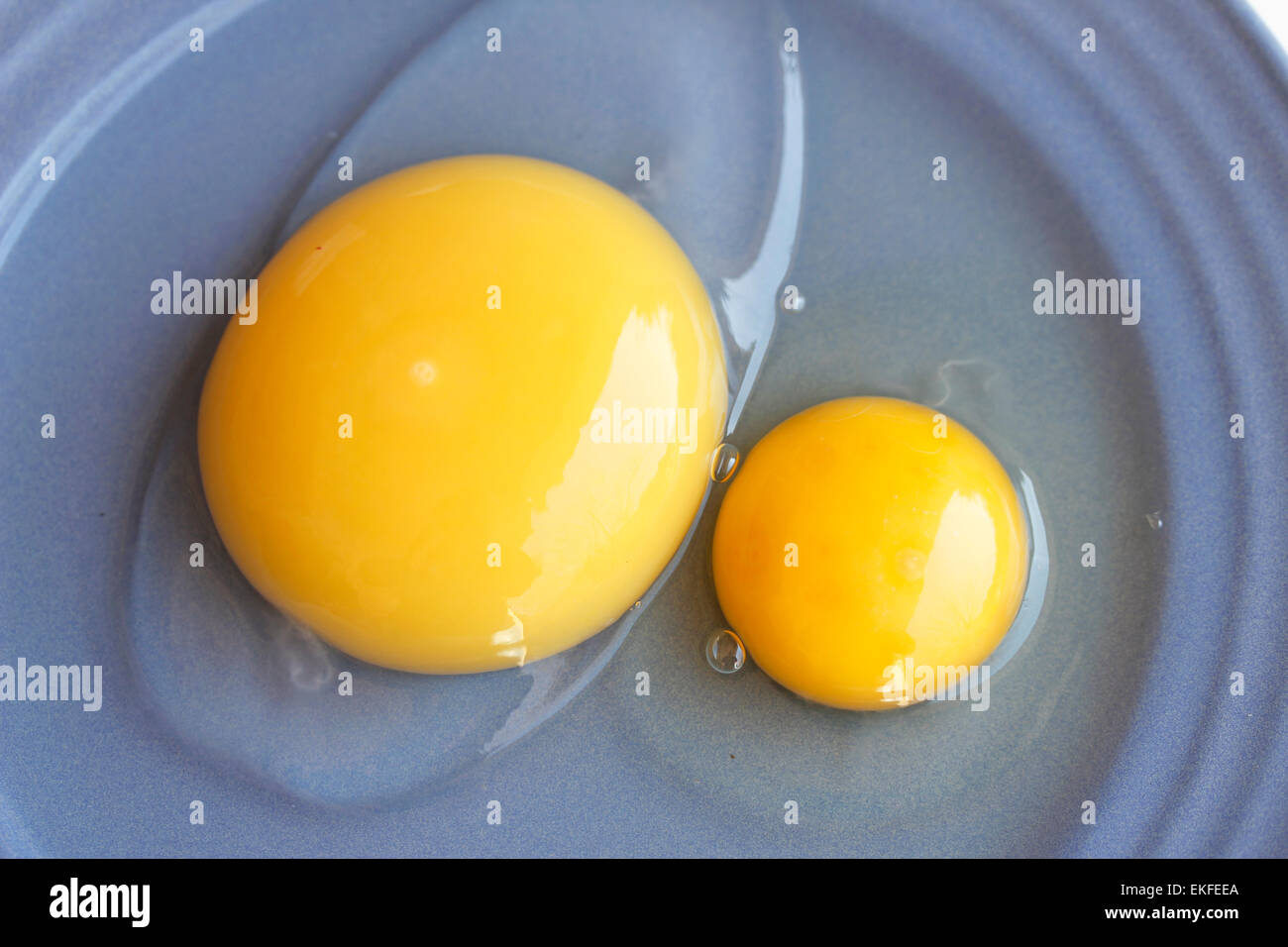 Eggs. Goose and hen. Stock Photo