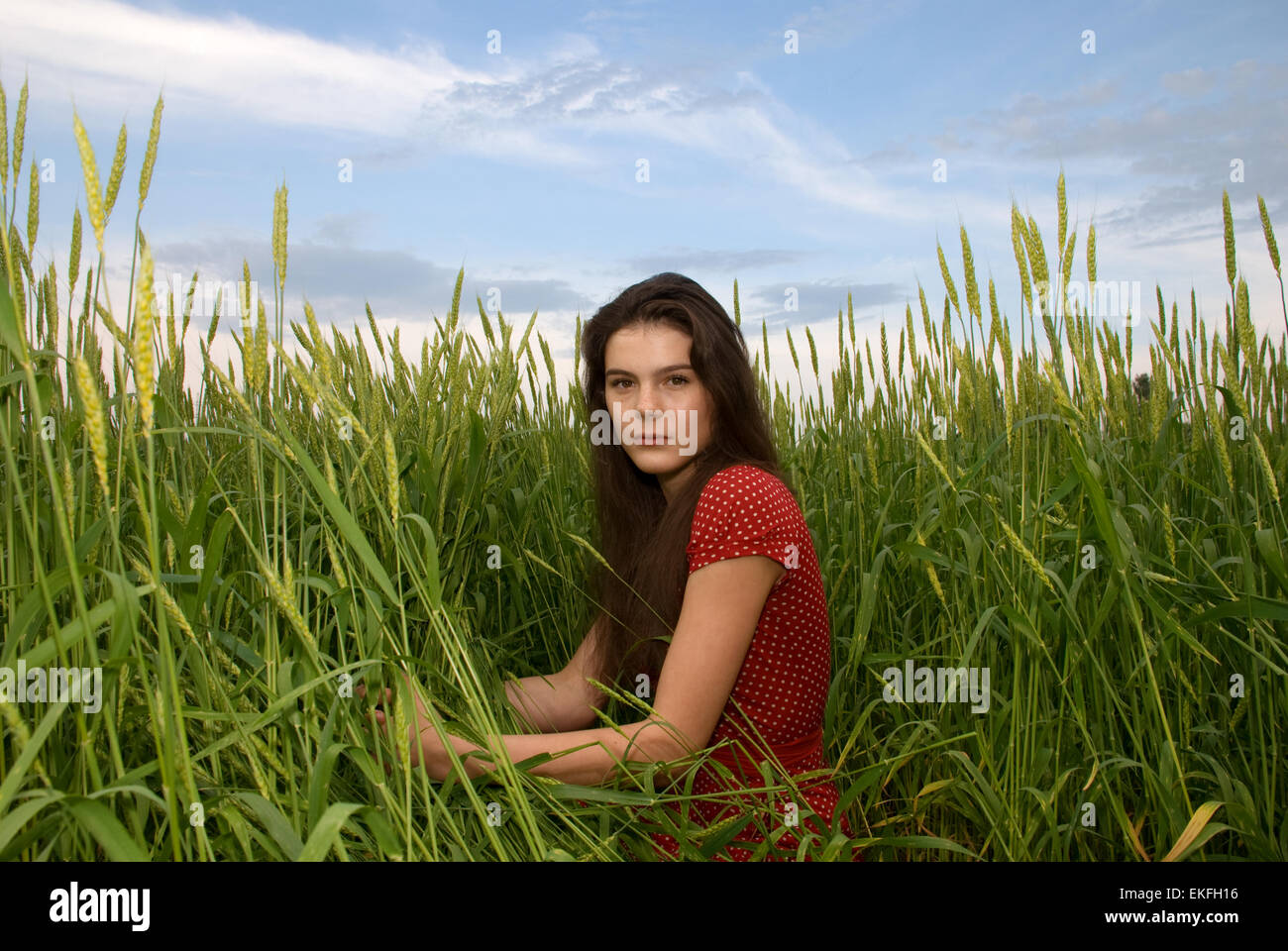 Beautiful girl weared red dress in green wheat field Stock Photo - Alamy