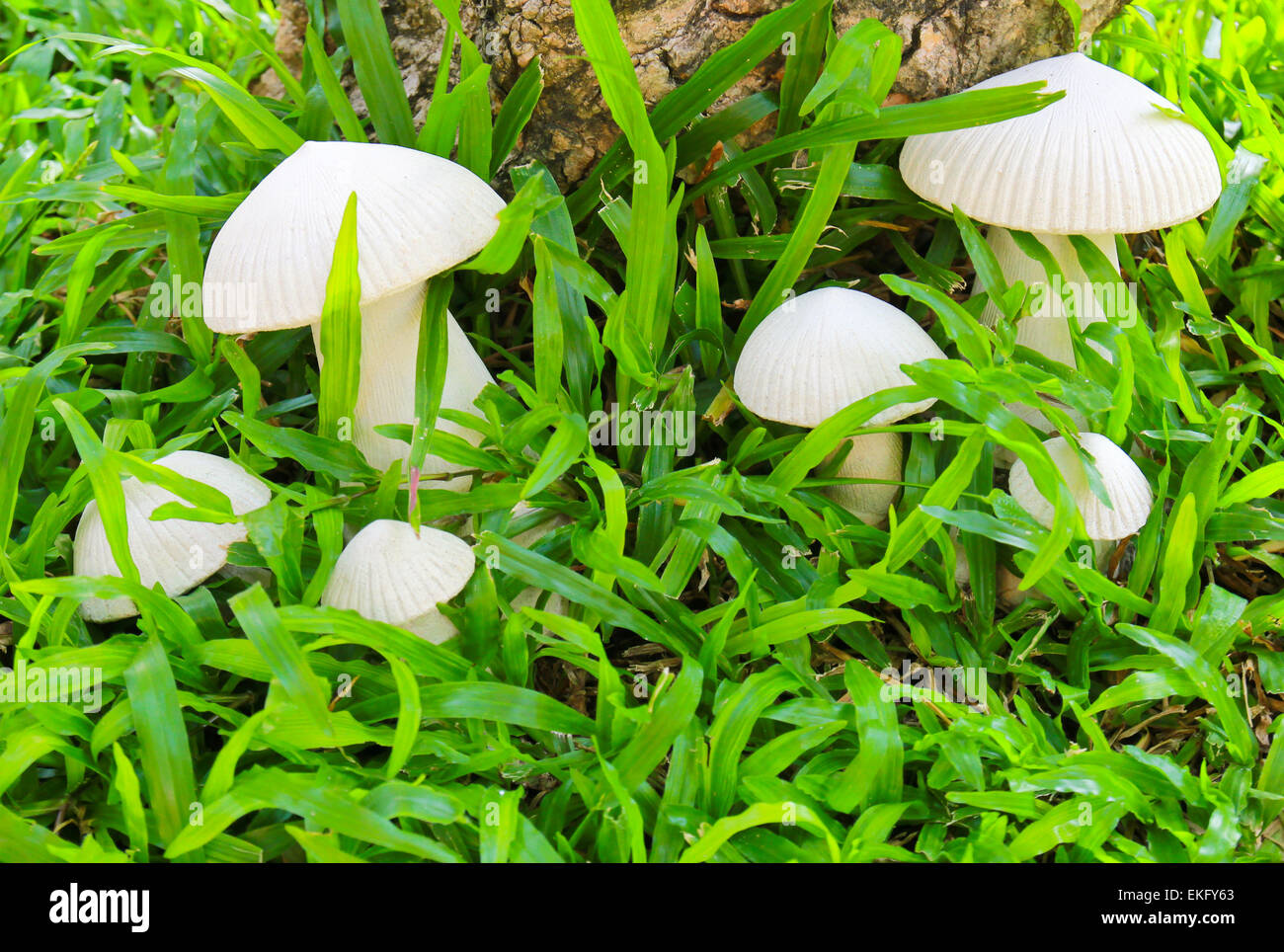 Ceramic Sculpture High Resolution Stock Photography and Images - Alamy