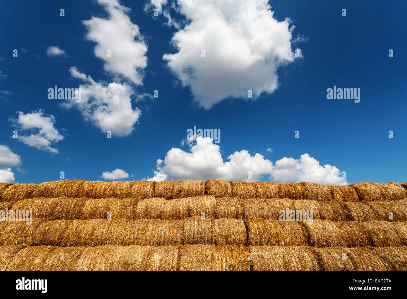Bales of straw under blue cloudy sky Stock Photo - Alamy