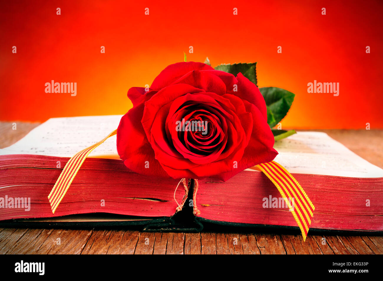 a red rose and the catalan flag on an old book for Sant Jordi, the ...