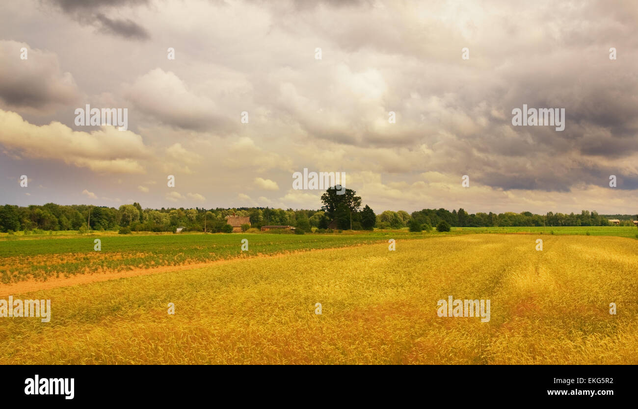 Harvest before the storm hi-res stock photography and images - Alamy