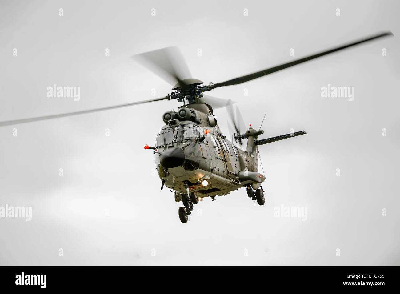 Swiss Air Force AS332M1 Super Puma transport helicopter Stock Photo