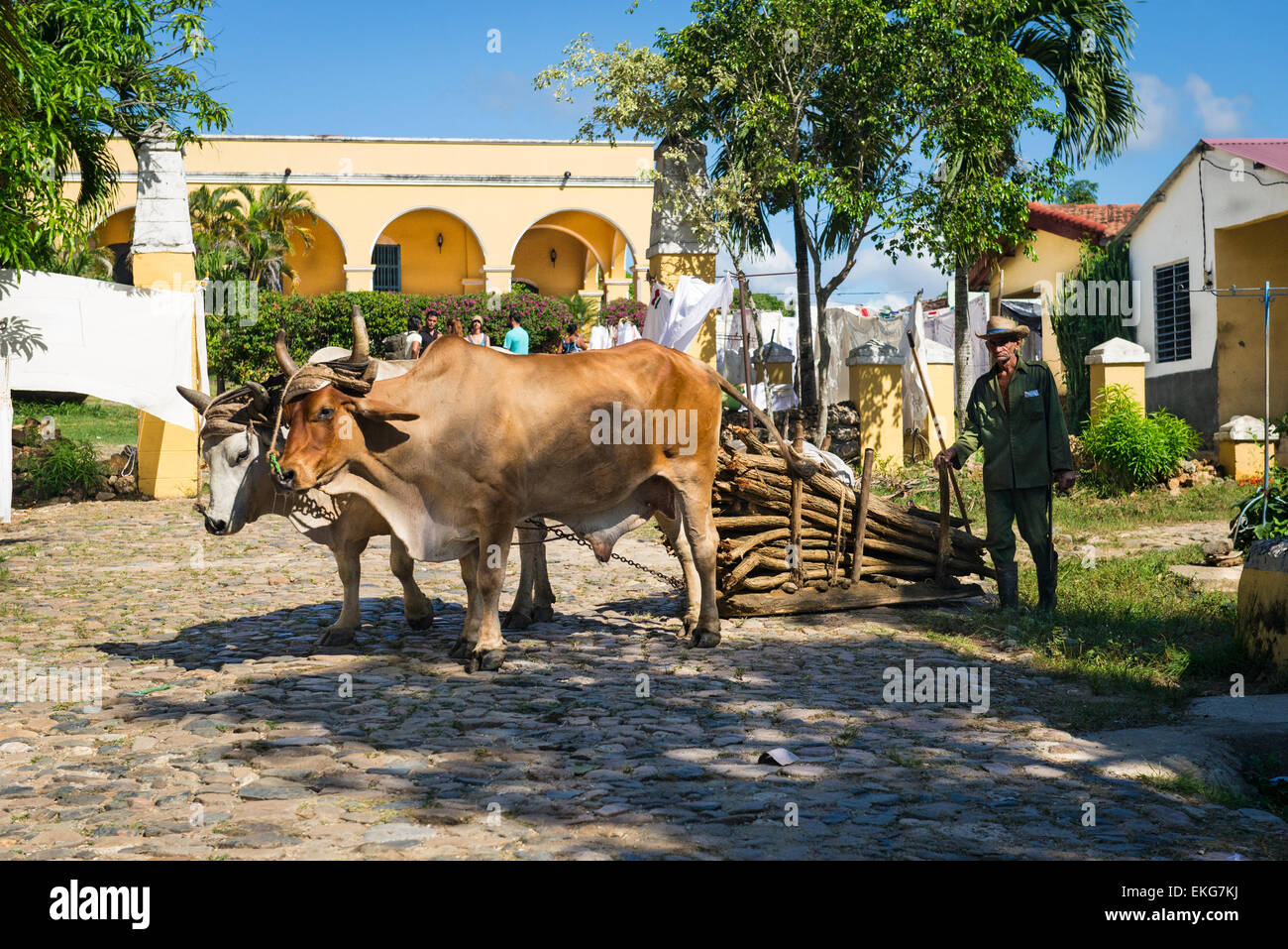 Cuba Trinidad Valle de los Ingenios , Valley of Sugar Mills , farmer ...