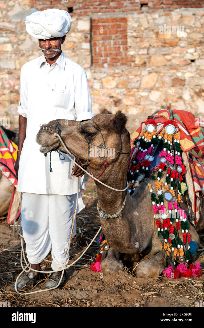 Camel driver and camel, Samode, Rajasthan, India Stock Photo