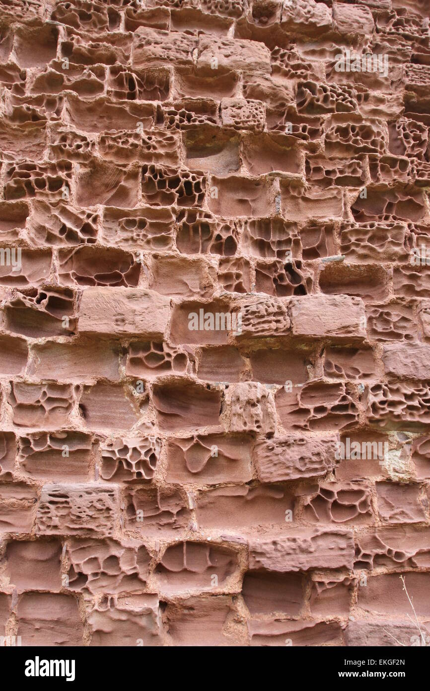 Red Castle wall detail Lunan Bay Angus Scotland April 2015 Stock Photo ...