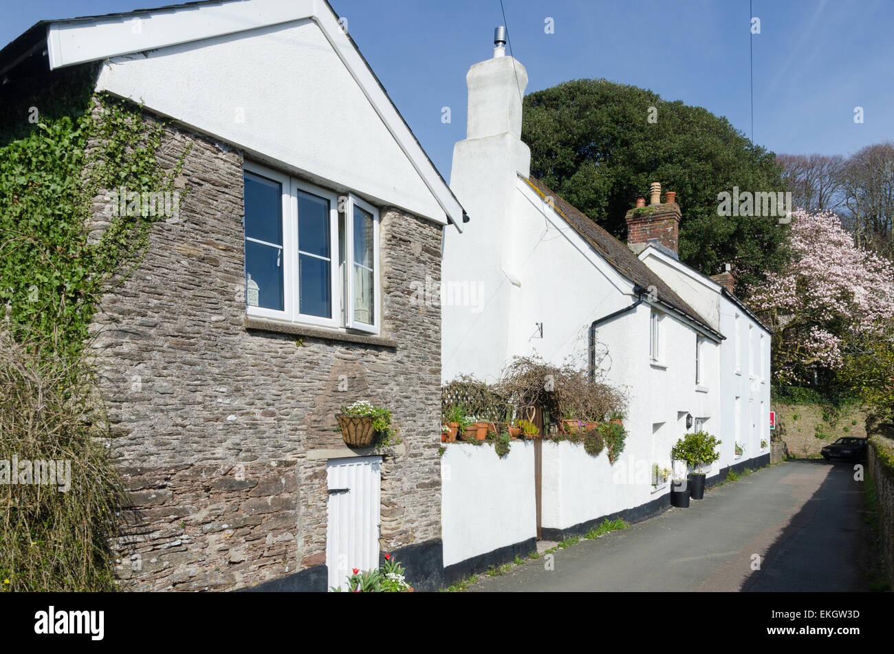Row Of Old Stone Cottages In The South Hams Village Of Slapton