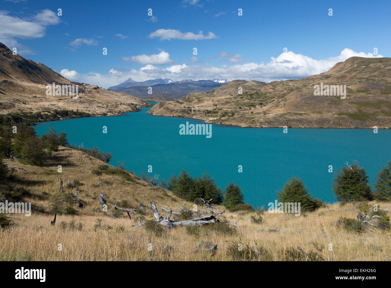 Lago Pehoe, of Lake Pehoe, Torres del Paine National Park Patagonia Chile Stock Photo