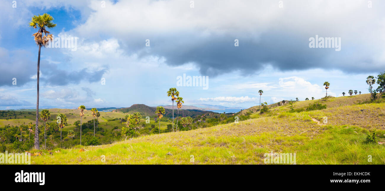 Panorama of the Rinca island. Rainbow over savanna Stock Photo
