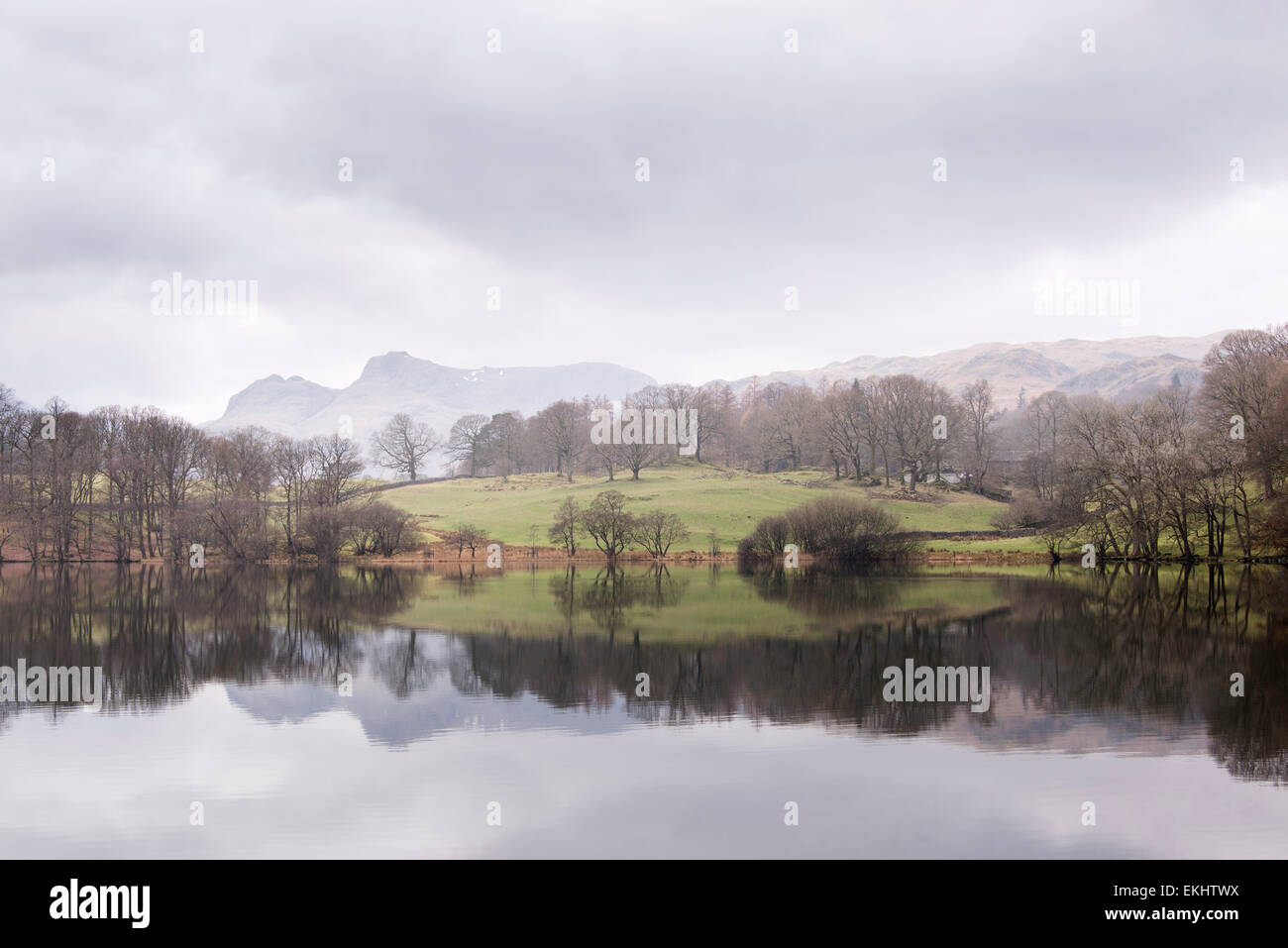 Reflections of trees and the Langdale Pikes in Loughrigg Tarn, Lake District, England Stock Photo