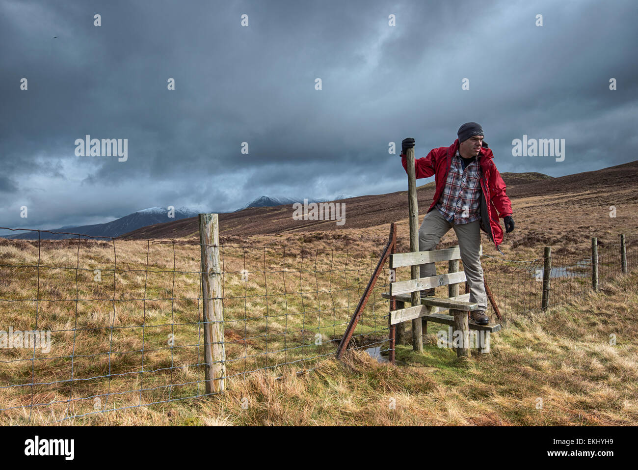 A man climbing over a stile on Blake Fell. The scene is well lit by the sun under a dark cloudy sky Stock Photo