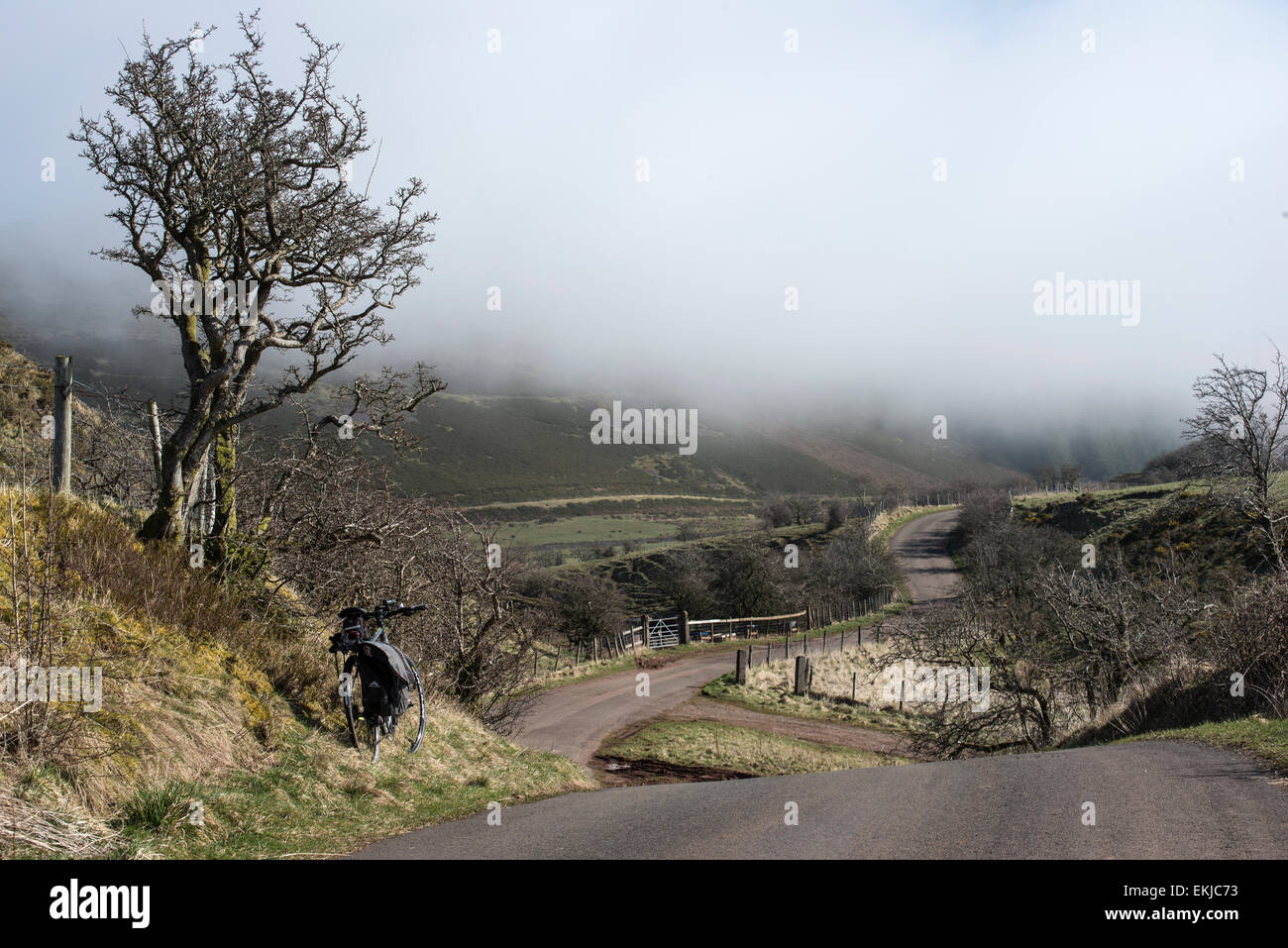 Twisty narrow road disappearing in the mist at Croasdale, Cumbria with a bicycle in the foreground. Small tree Stock Photo