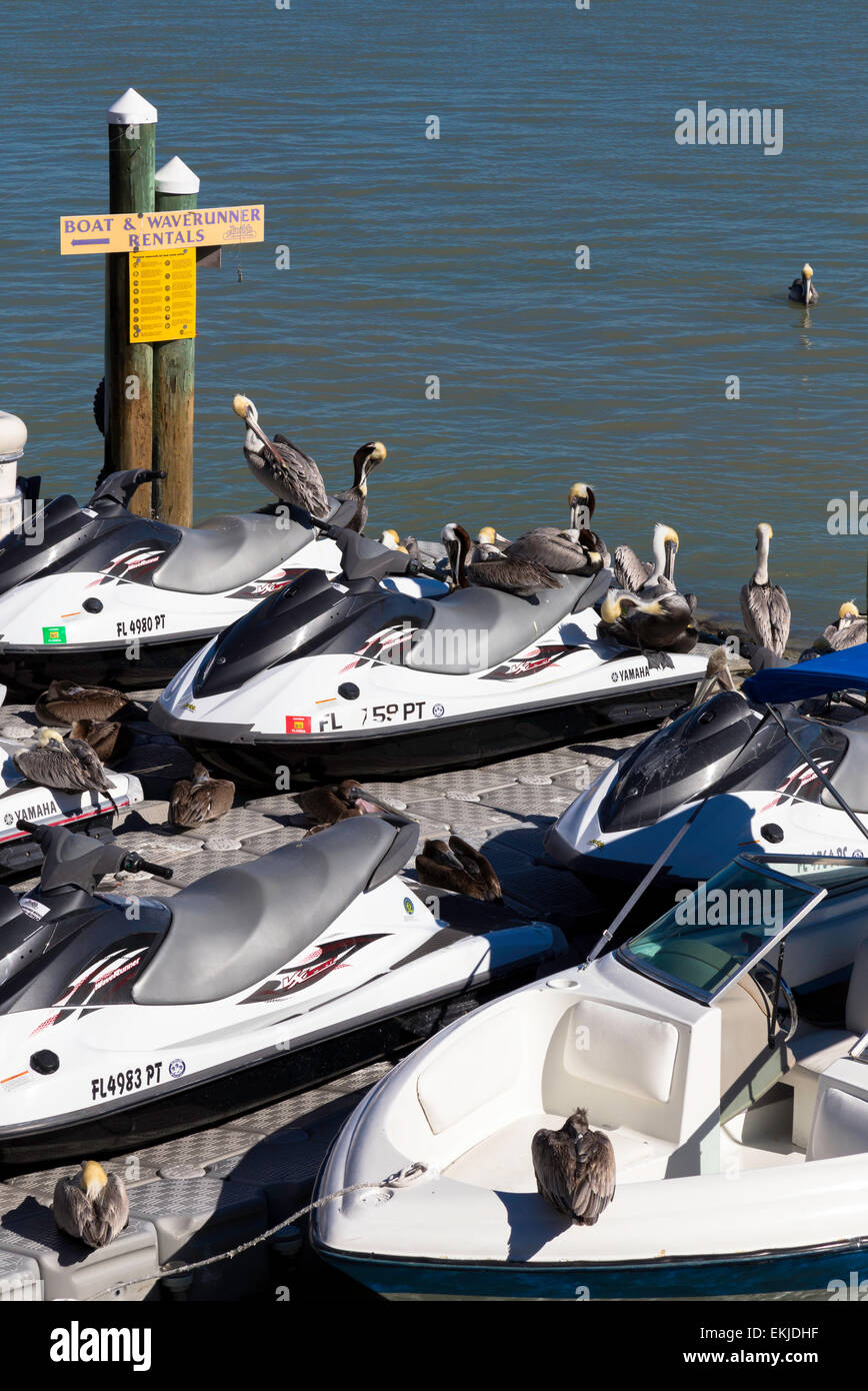 John's Pass Village, Madeira Beach, Florida Stock Photo Alamy
