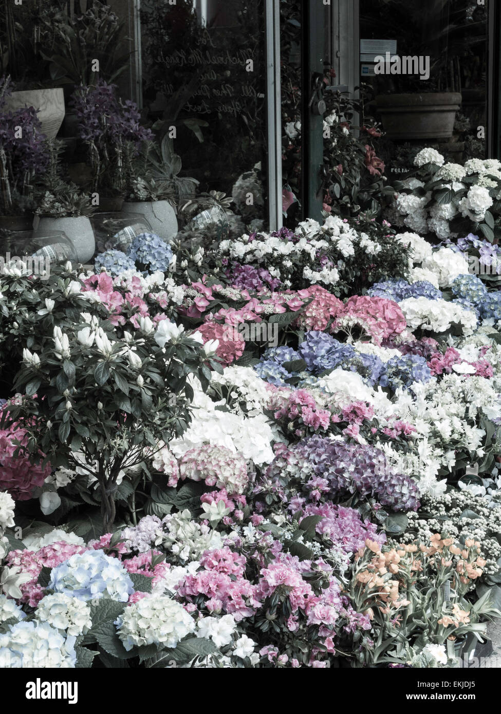New york wholesale flower district hires stock photography and images
