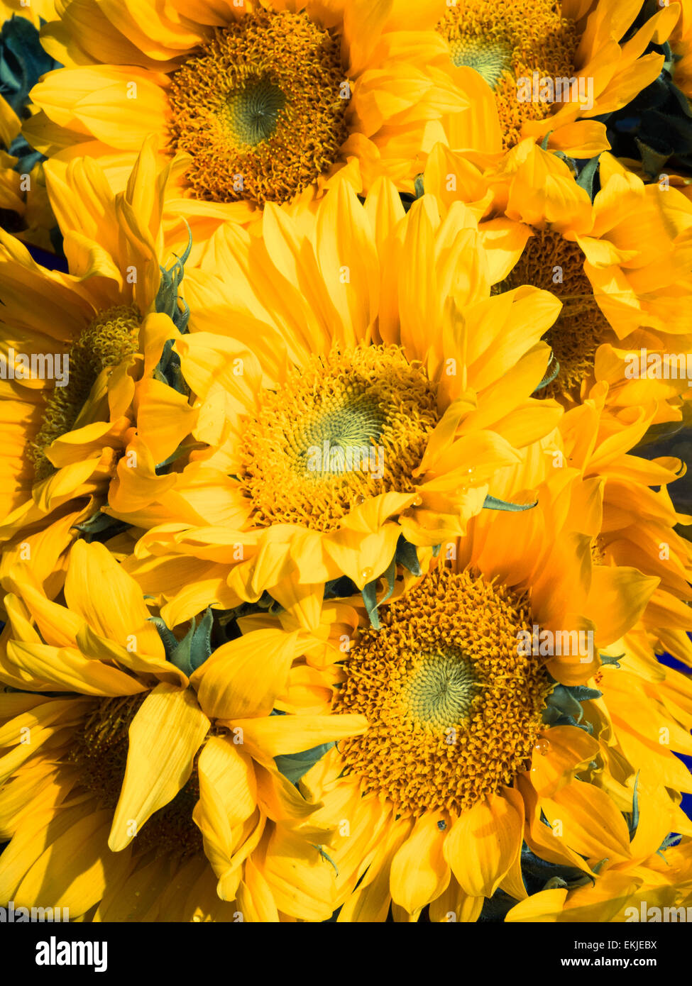 Wholesale district new york city hires stock photography and images Alamy