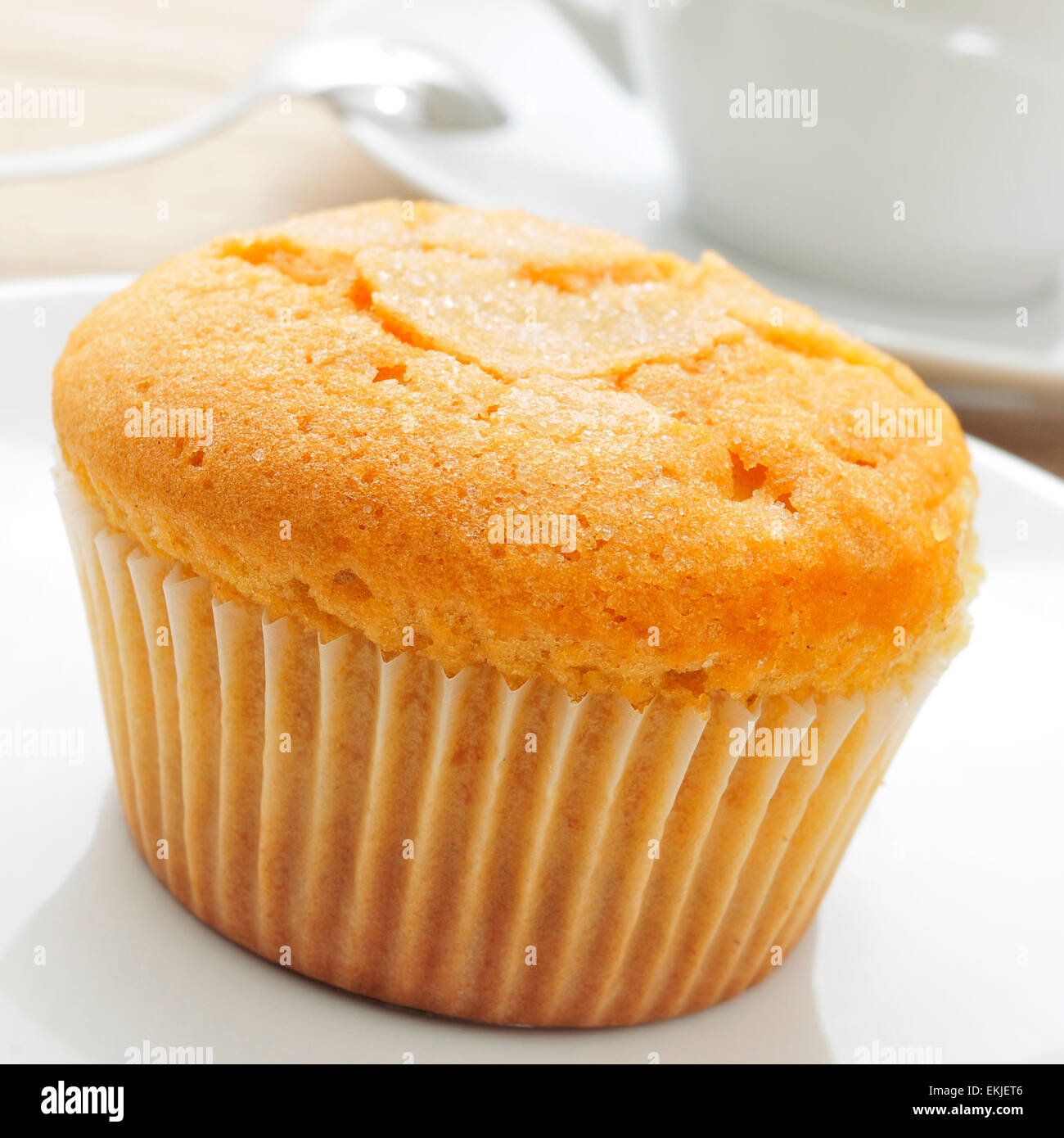 Closeup Of A Magdalena The Typical Spanish Plain Muffin In A White Closeup Of A Magdalena The Typical Spanish Plain Muffin In A White