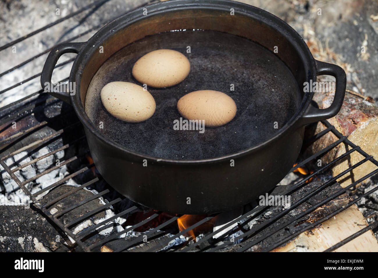 https://c8.alamy.com/comp/EKJEWM/eggs-in-a-cast-cauldron-full-boiling-water-on-a-camping-fire-EKJEWM.jpg