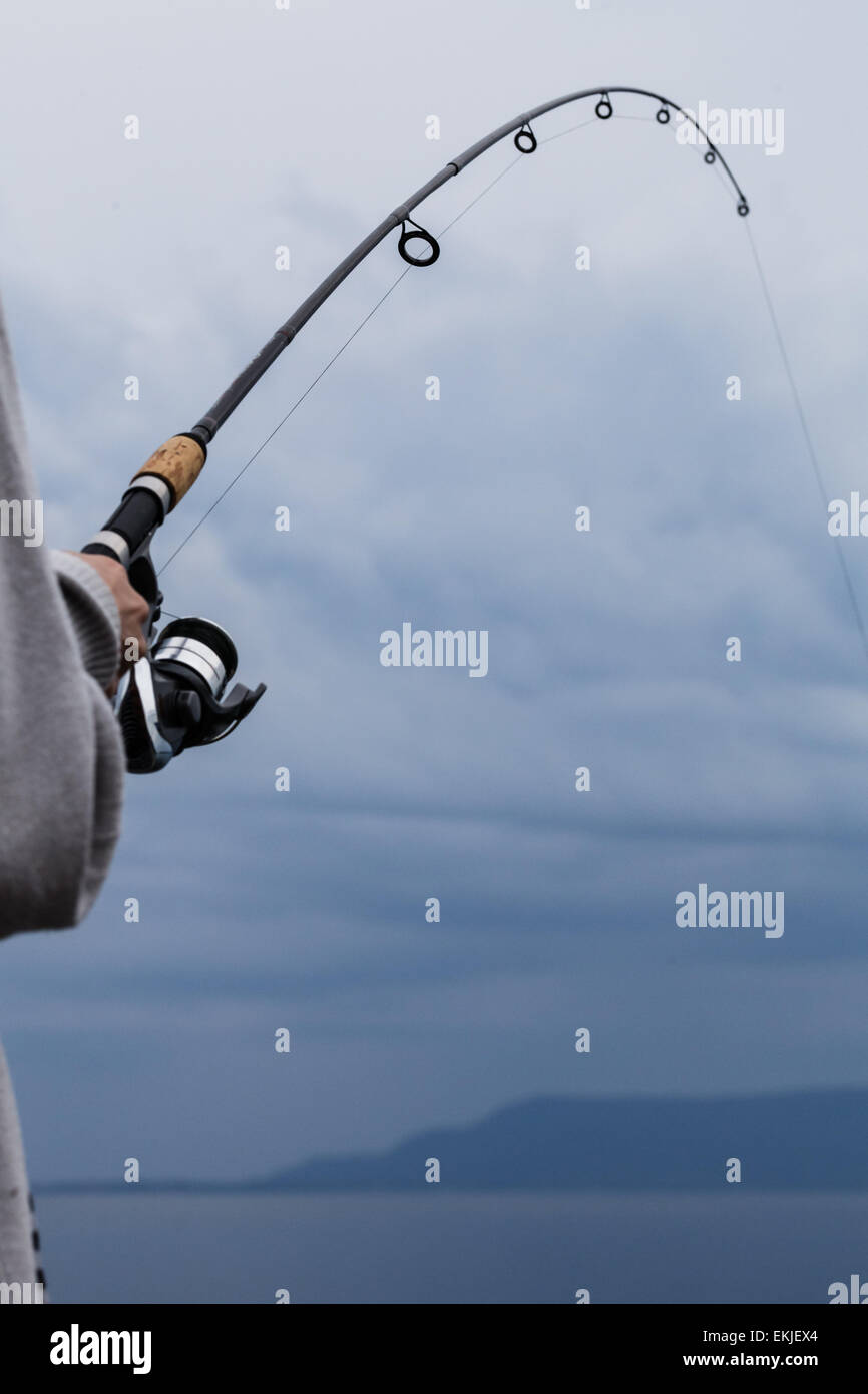 Detail of a Fishing Rod and Colorful Sky Stock Photo