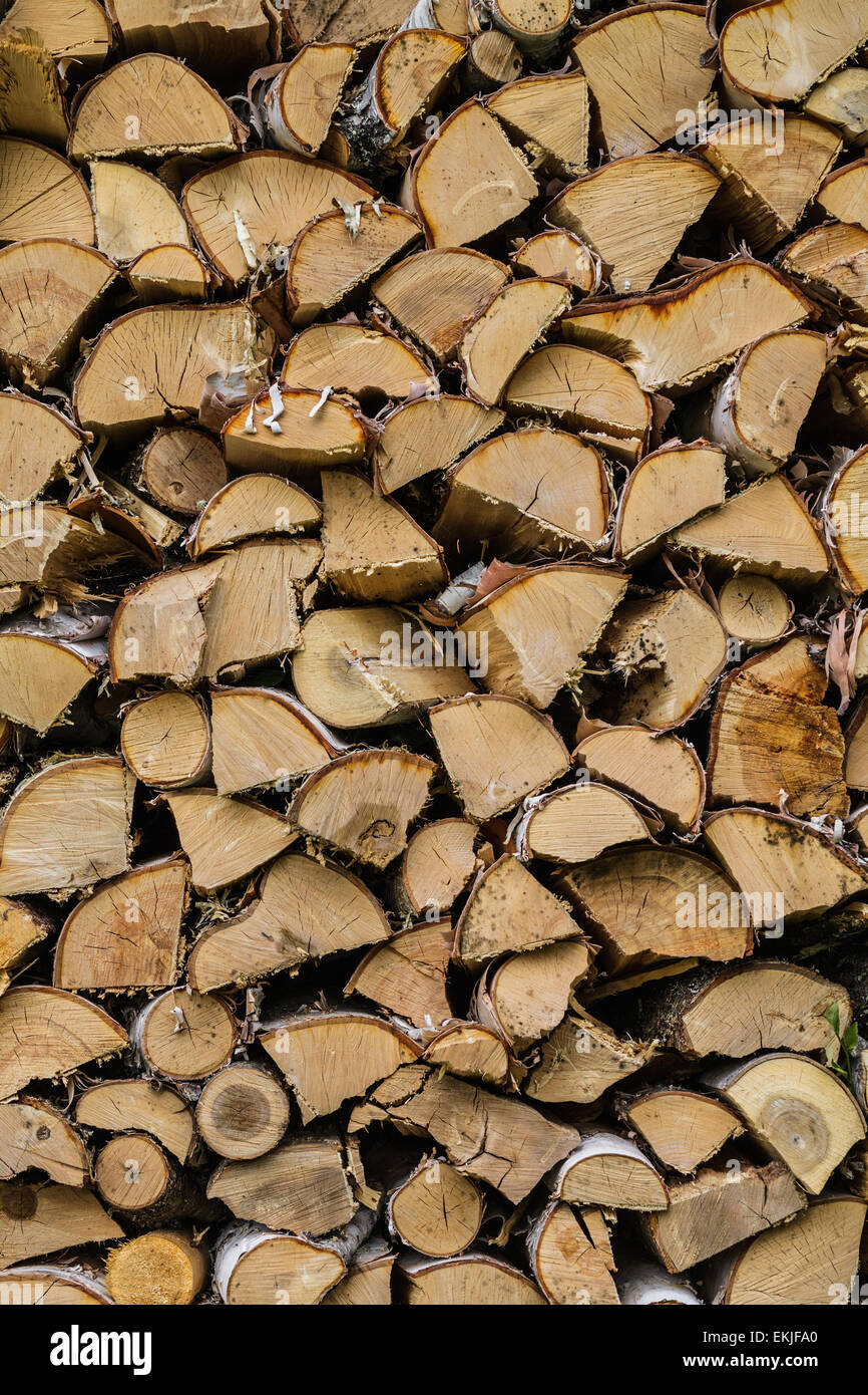 Dry Mixed Firewood Texture Background - Maple, Cherry and Birch Stock