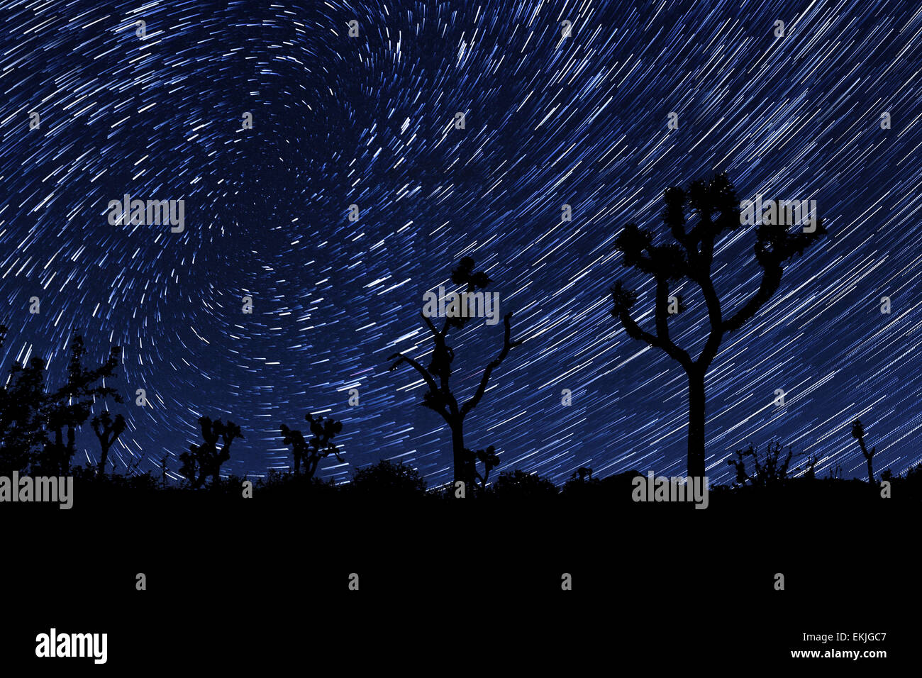 Night Exposure Star Trails In Joshua Tree National Park Stock Photo - Alamy