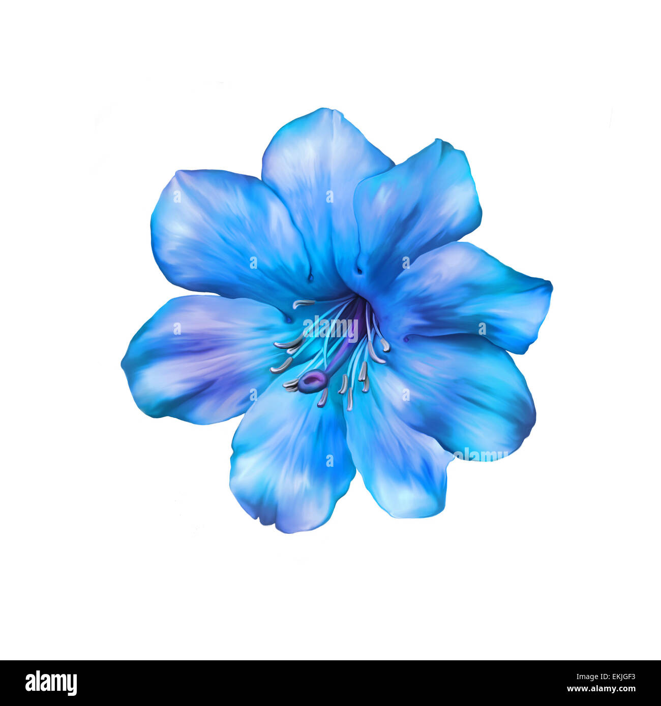 Beautiful bright blue Flower. Isolated on white. Illustration Stock