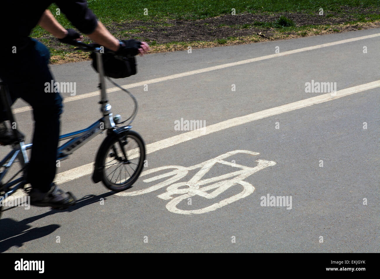 A Cyclist using a Cycle Path in Hyde Park in London. Stock Photo