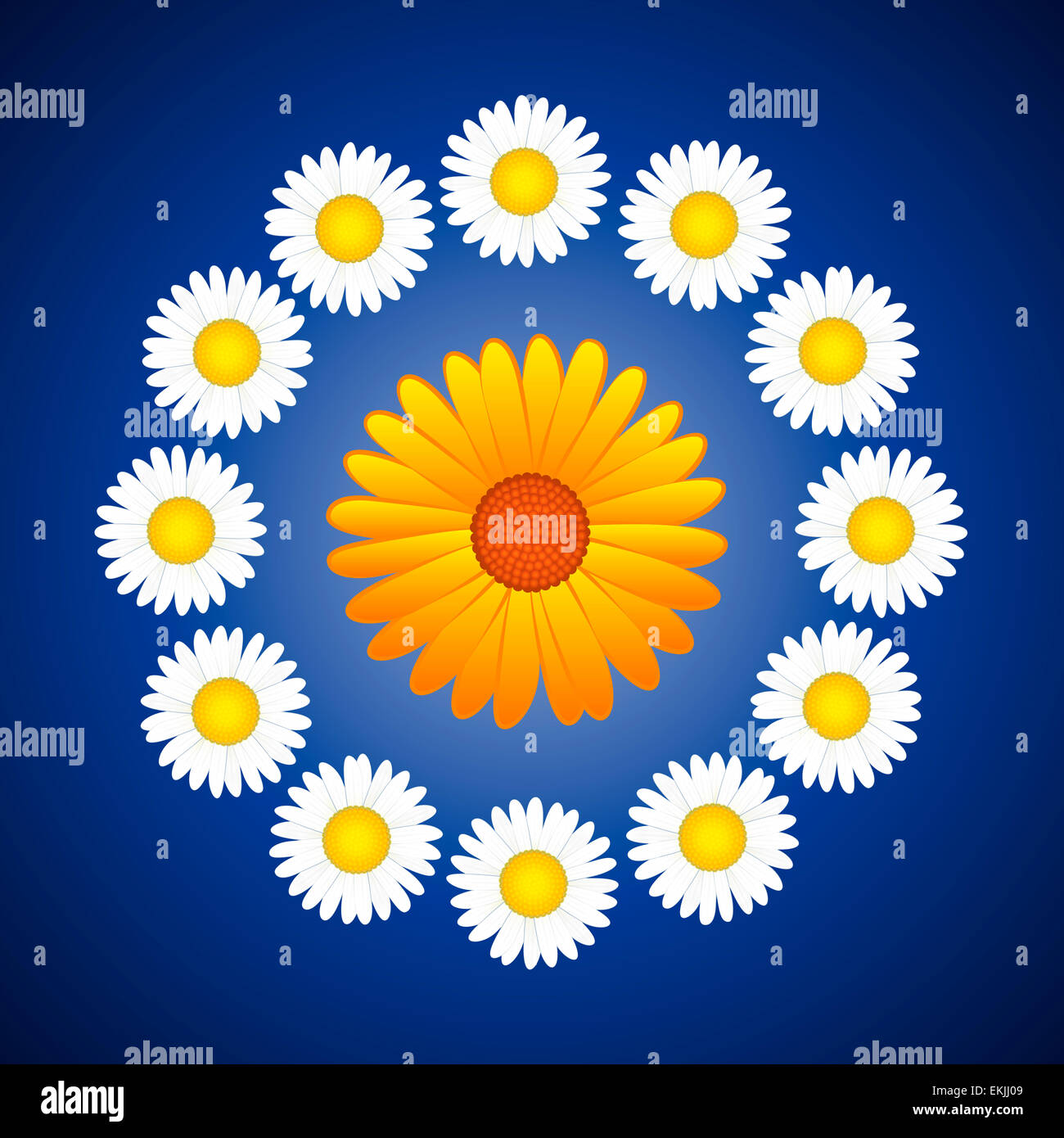 Floral wreath with daisies and a aster in the center like a sun. Stock Photo