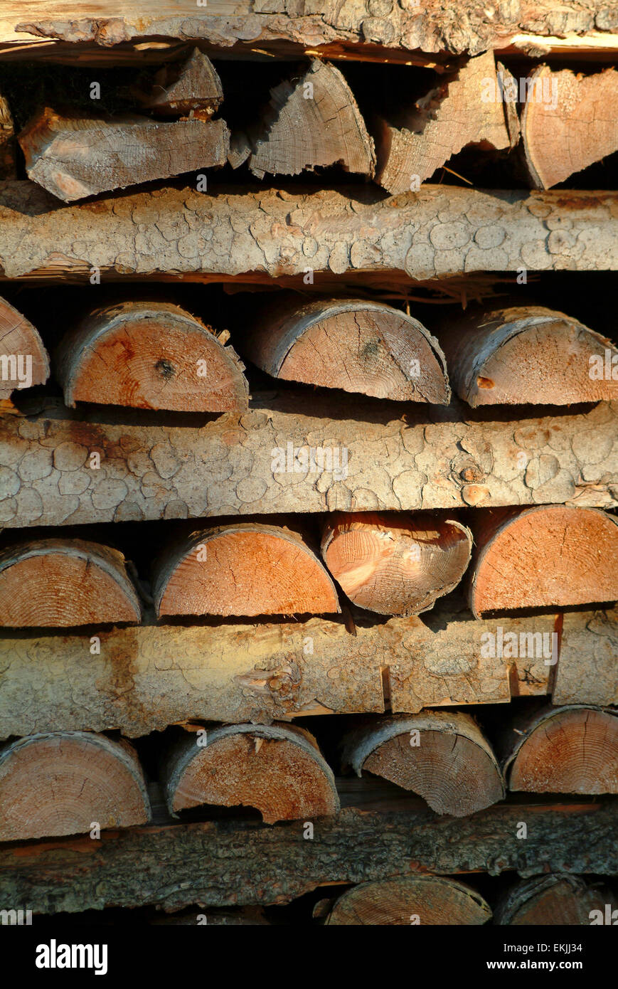 Wood stacked to dry for  log fire Stock Photo