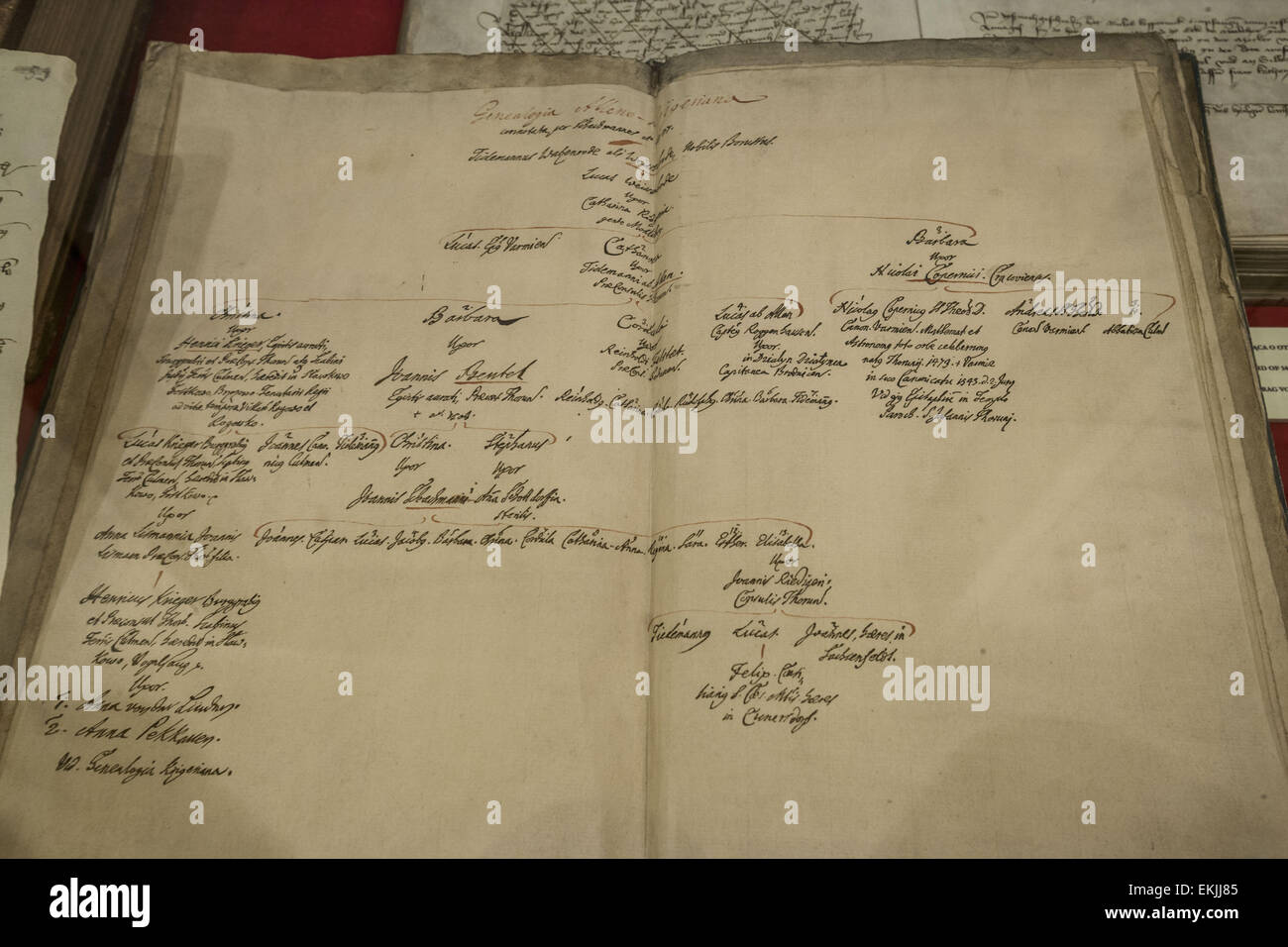 torun poland 2nd jan 2015 sheets of the family tree book of