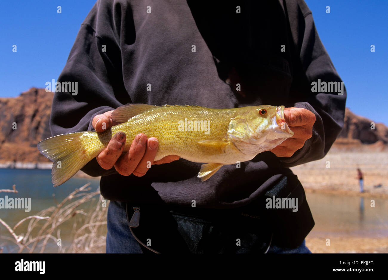 Fishing, Lake Powell, Utah/Arizona, USA Stock Photo Alamy