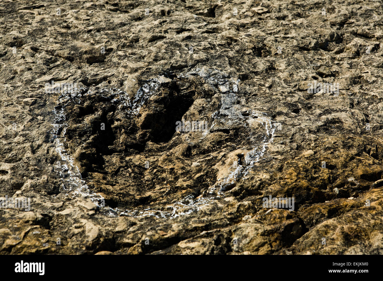 Cape Espichel footprint detail of a small biped carnivorous dinosaur on a rock a Theropod, Sesimbra, Portugal Stock Photo