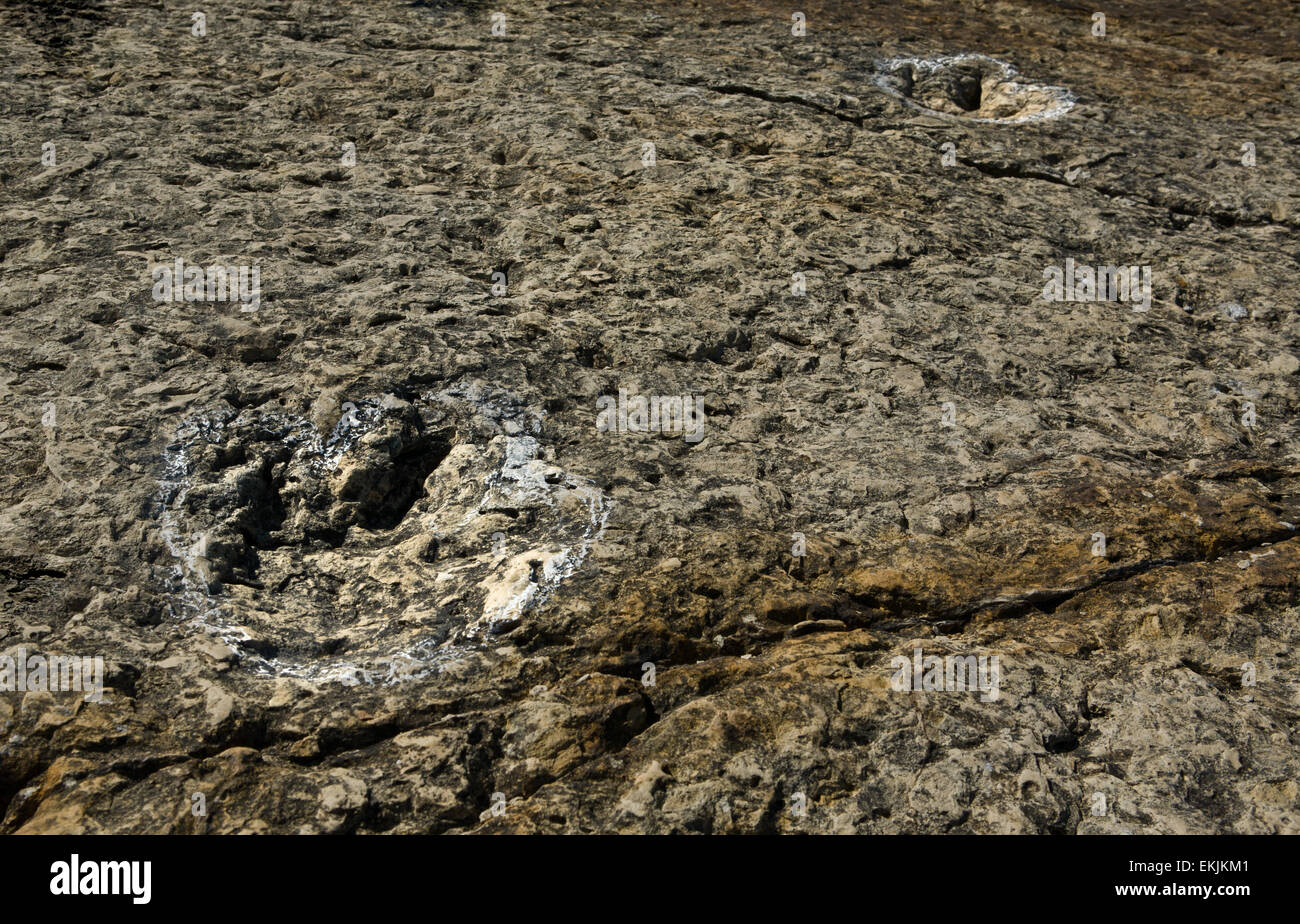 Cape Espichel footprint detail of a small biped carnivorous dinosaur on a rock a Theropod, Sesimbra, Portugal Stock Photo