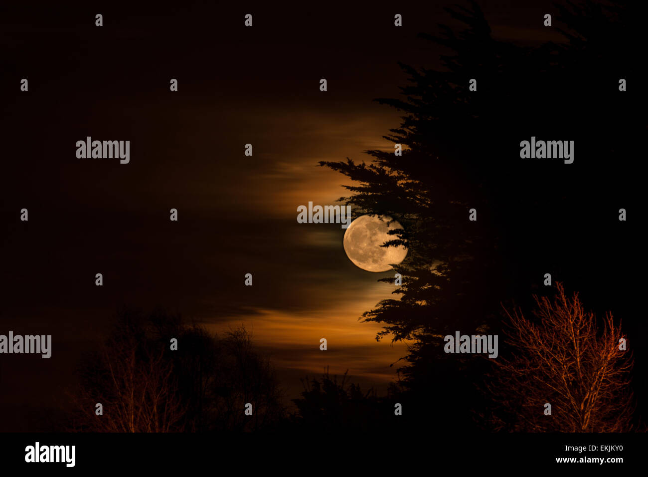 playing hide and seek with the moon Stock Photo
