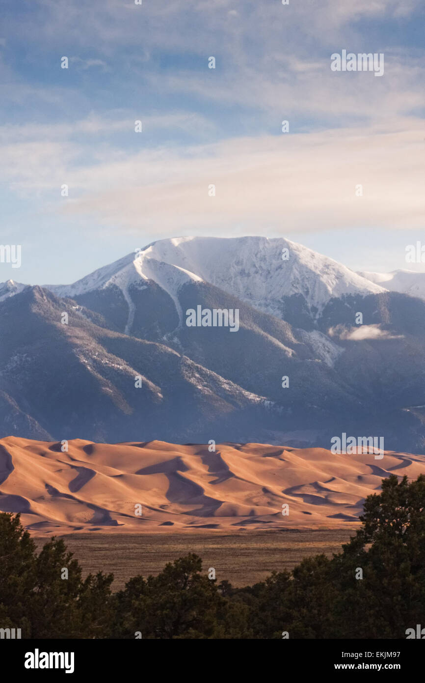 Trees, scrub, sand dunes and mountains: Great Sand Dunes National Park and the Sangre de Cristo snow-capped mountains Stock Photo