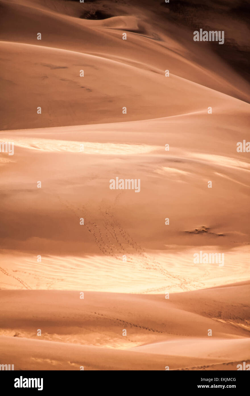 The shifting sands of the Great Sand Dunes, the tallest sand dunes in North America Stock Photo