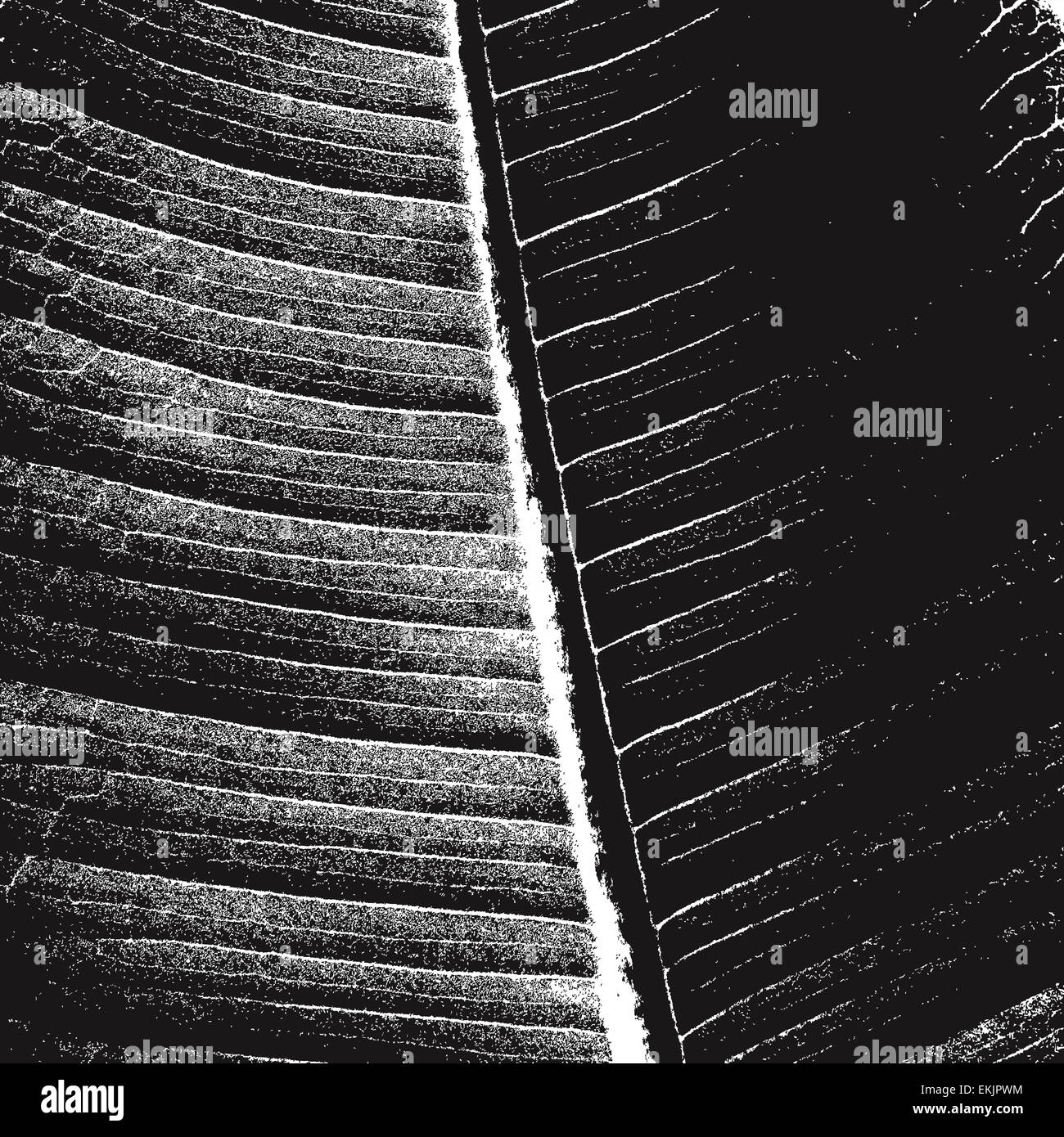 Floral leaf line fill hi res stock photography and images Alamy Floral leaf line fill hi res stock photography and images Alamy