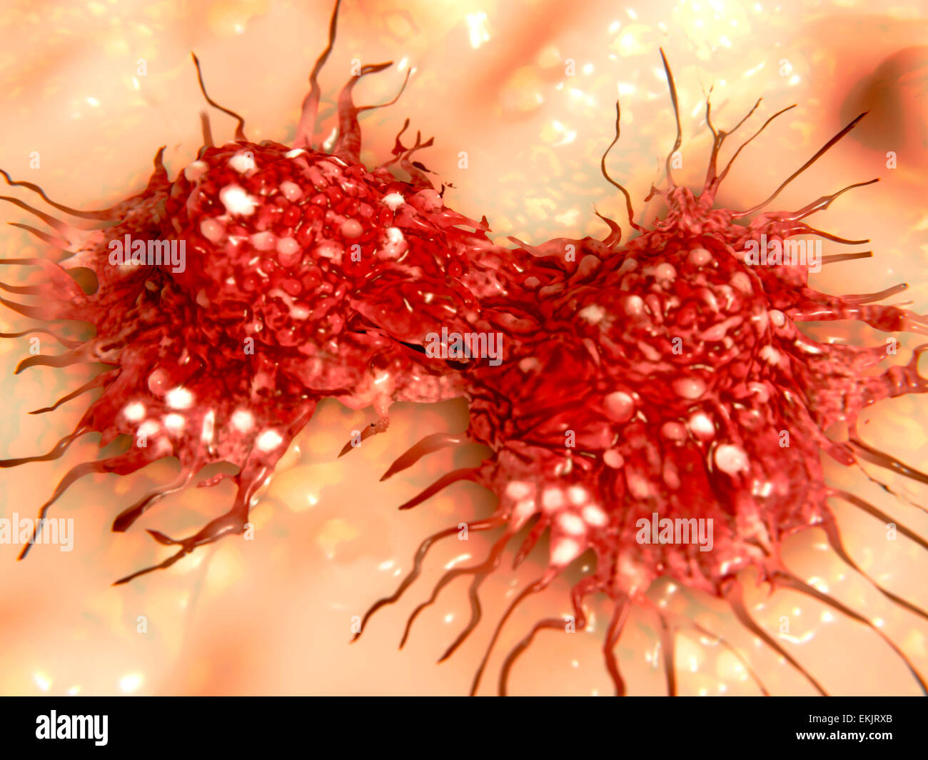 cancer, cancer cell, cancerous, cells, disease, dividing, division, healthcare, malignant, medical, oncology, proliferation, biomedical illustration, growth, tumor, tissue, cell division, mitosis, illustration, artwork Stock Photo