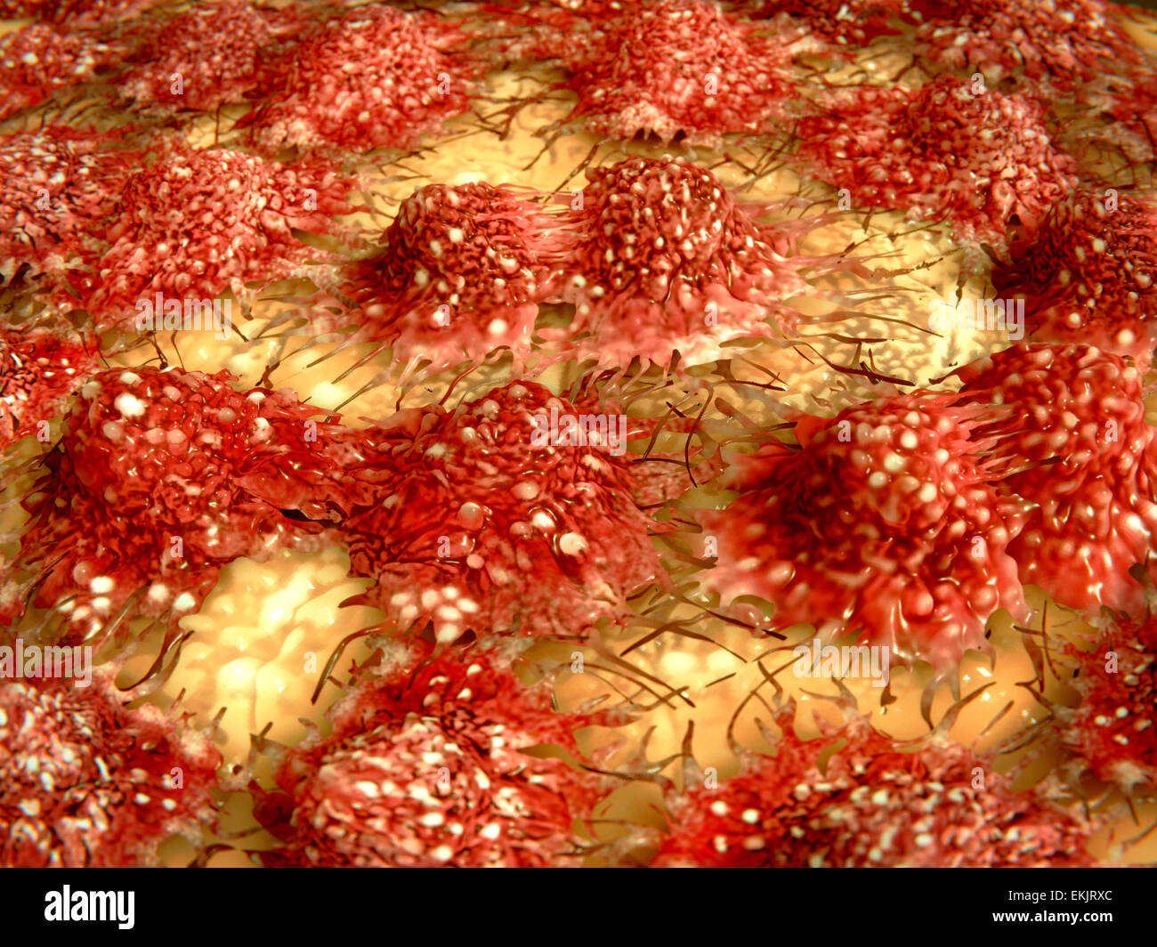 artwork, biomedical illustration, cancer, cancer cell, cancerous, cell division, cells, disease, dividing, division, growth, healthcare, illustration, malignant, medical, mitosis, oncology, proliferation, tissue, tumor, Stock Photo