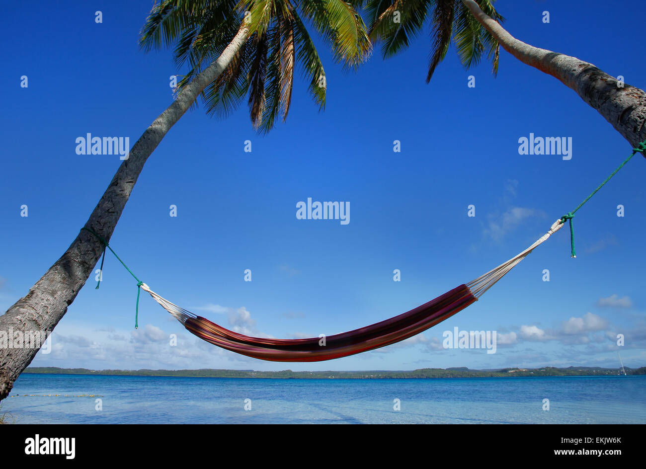 Colorful hammock between palm trees, Ofu island, Vavau group, Tonga Stock Photo