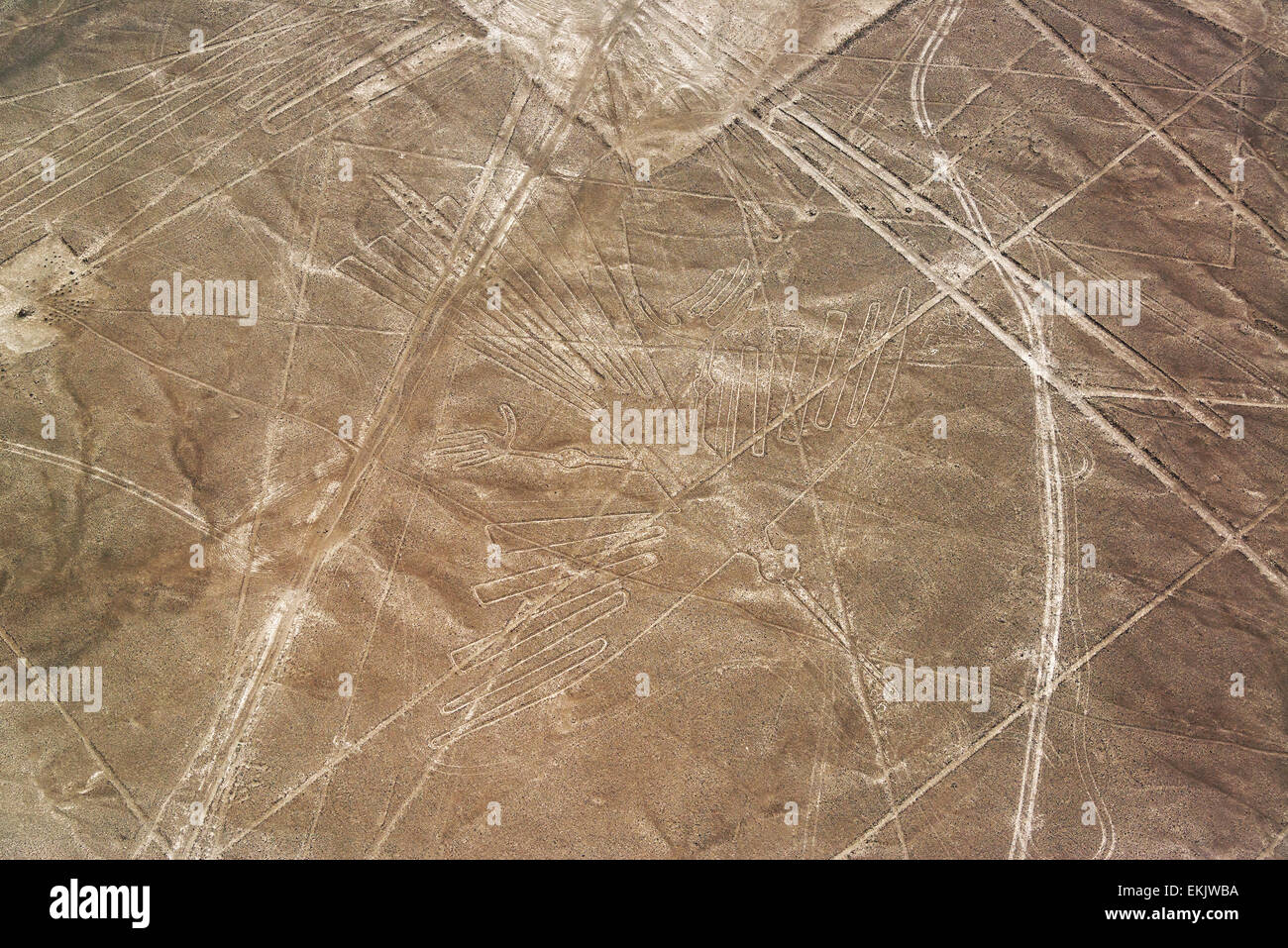 Nazca Lines condor geoglyph in Peru Stock Photo