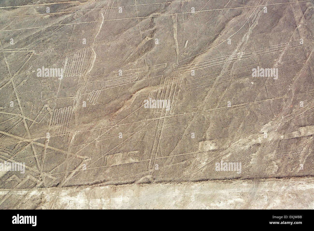 Nazca Lines geoglyphs in Nazca, Peru Stock Photo