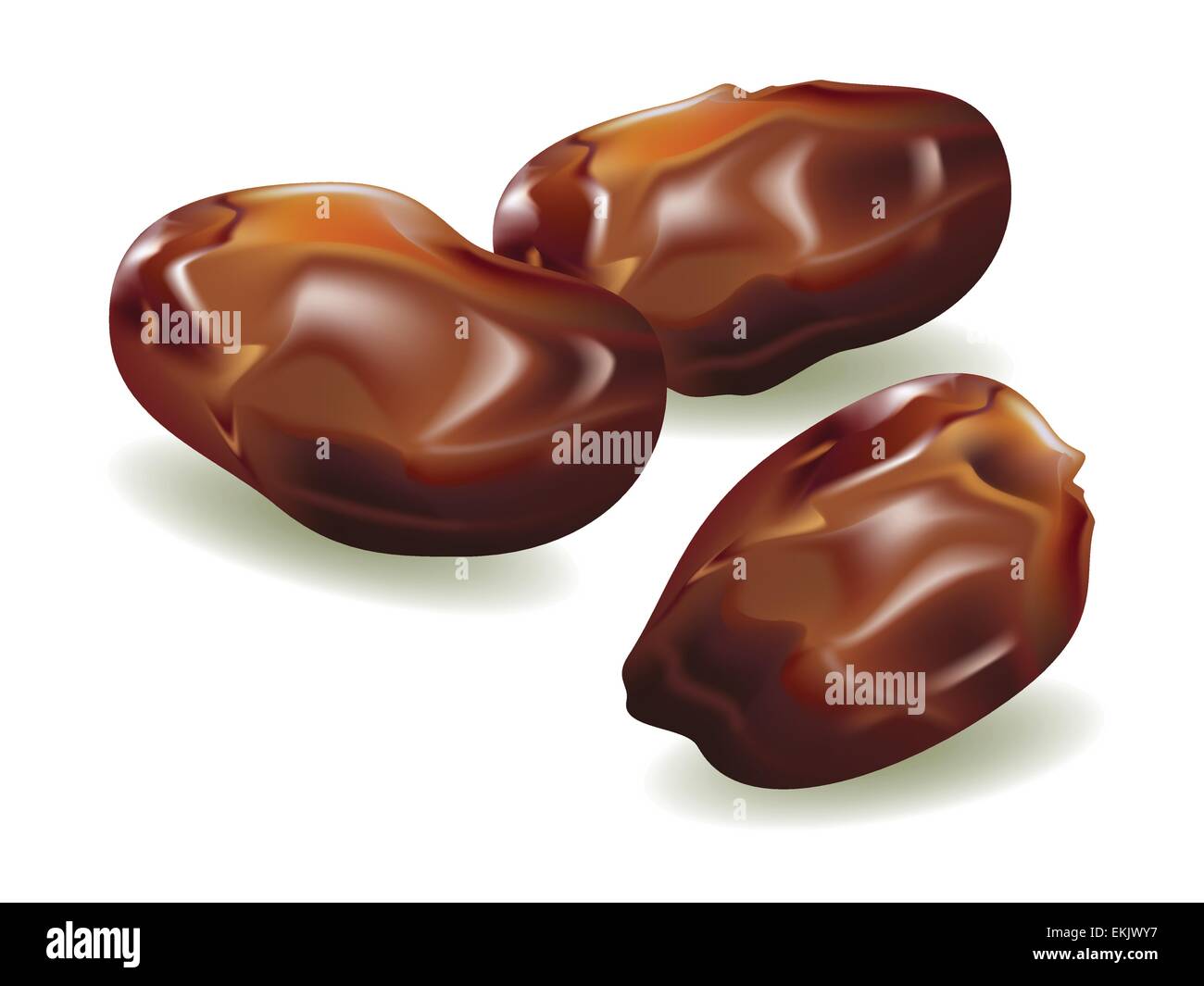 vector illustration . Dates on white background Stock Vector Image