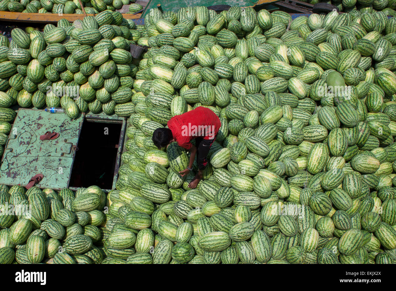 Dhaka, Bangladesh. 10th Apr, 2015. Bangladeshi laborers unload watermelon from boats at Sadarghat in Dhaka.Bumper production of watermelon in Bangladesh this season. Experts have said that the good quality watermelons were a bumper harvest this year owing to favoring weather and improved farming. Credit:  zakir hossain chowdhury zakir/Alamy Live News Stock Photo