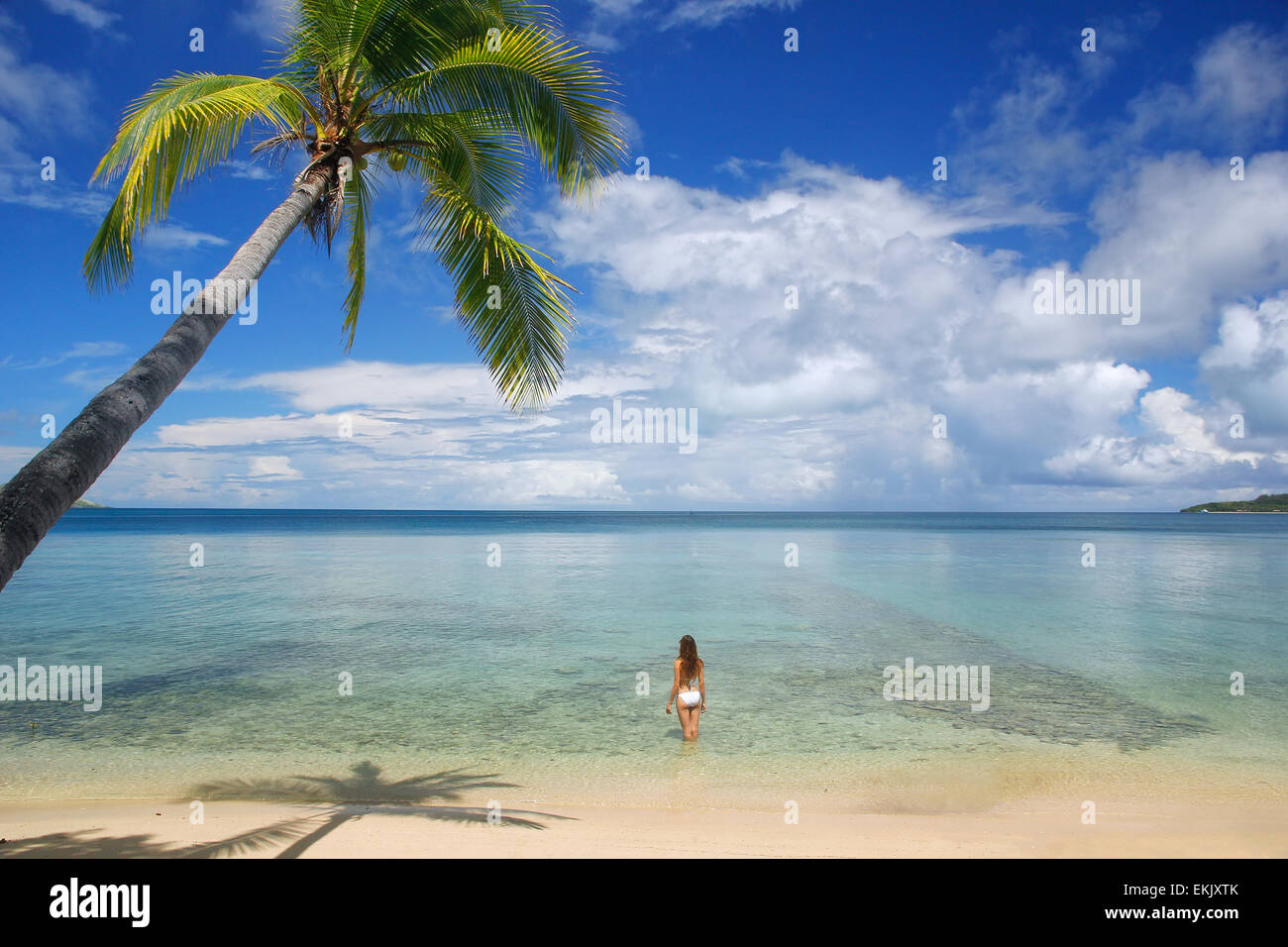 Young woman in bikini standing in clear water, Nananu-i-Ra island, Fiji, South Pacific Stock Photo
