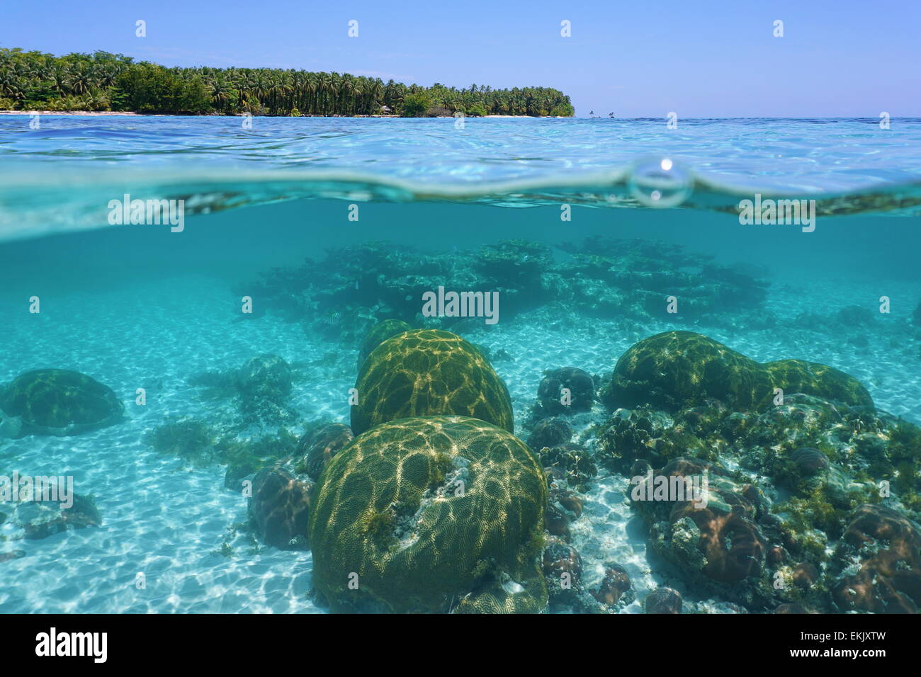 Split view above and below sea surface with corals underwater and over waterline a tropical island at the horizon, Panama Stock Photo