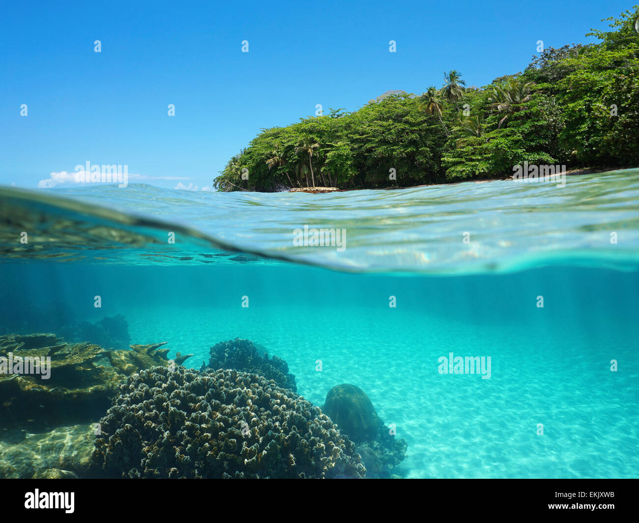 Split view over and under sea surface with lush tropical shore above waterline and corals with sand underwater, Costa Rica Stock Photo