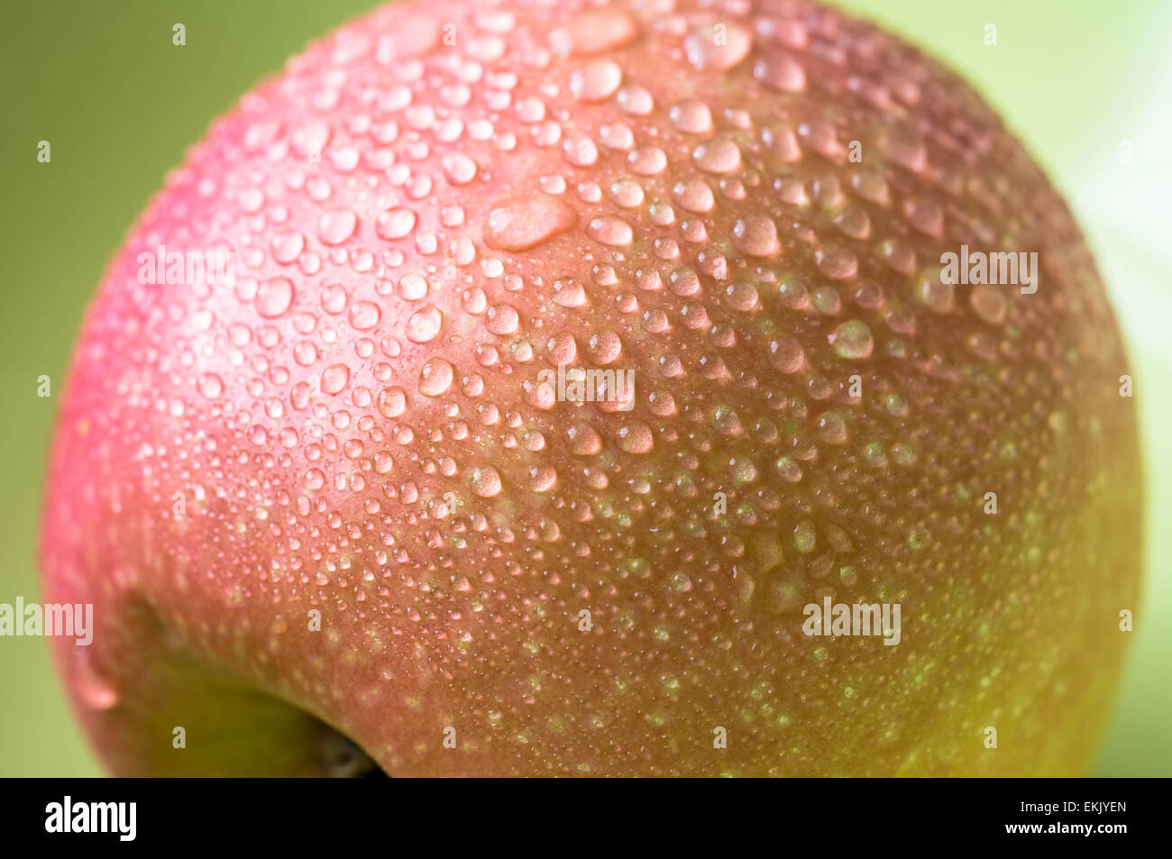 Drops on a red apple. Top view close-up Stock Photo