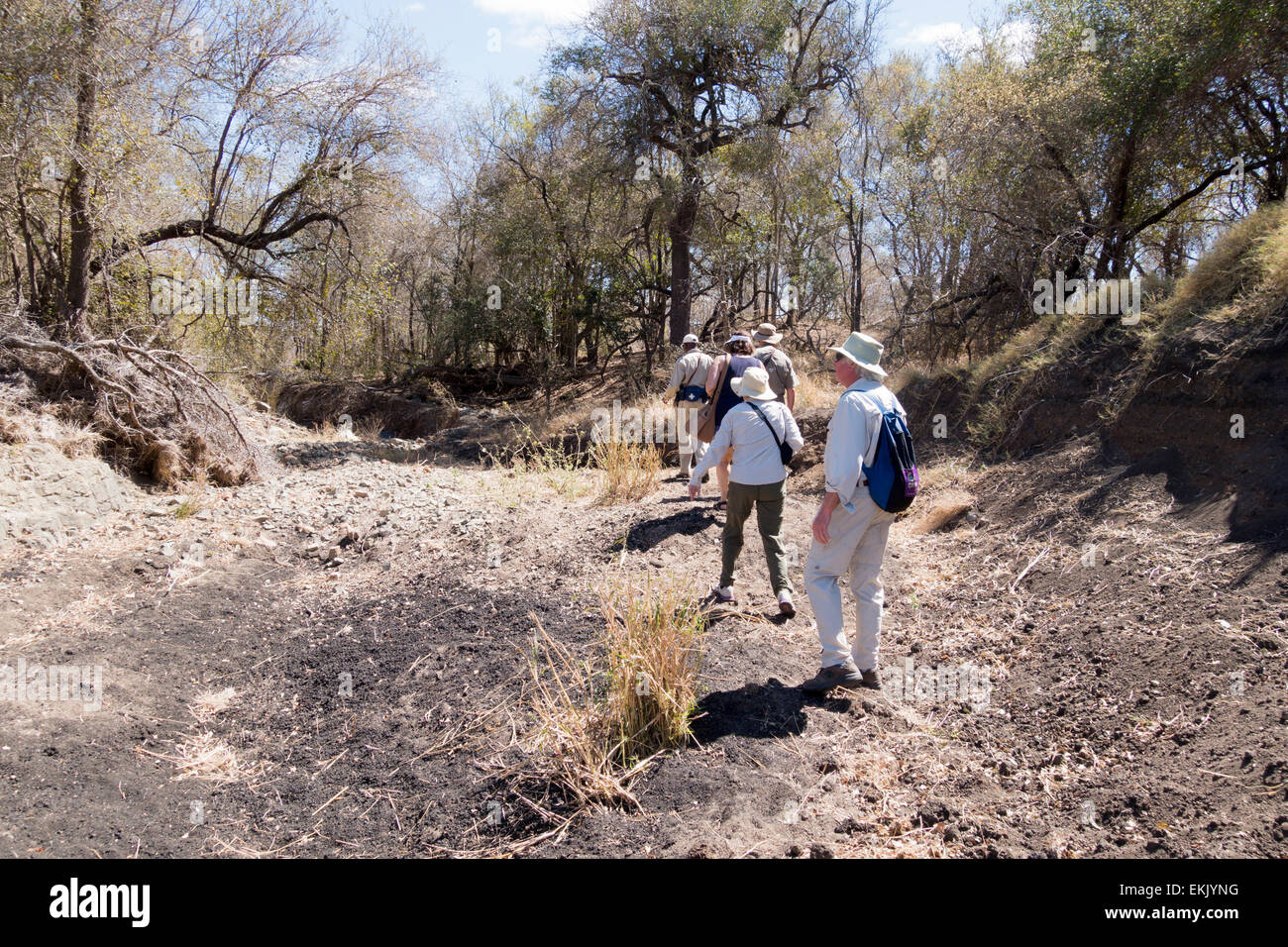 Walking safari along dry riverbed, Timbavati, South Africa Stock Photo