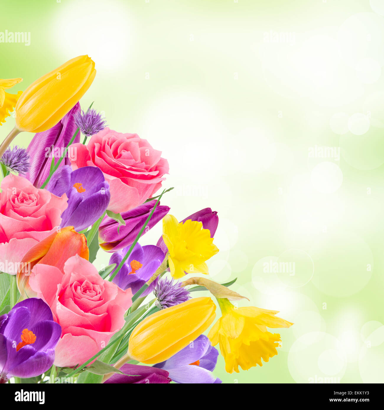 Beautiful bouquet of colorful flowers Stock Photo - Alamy
